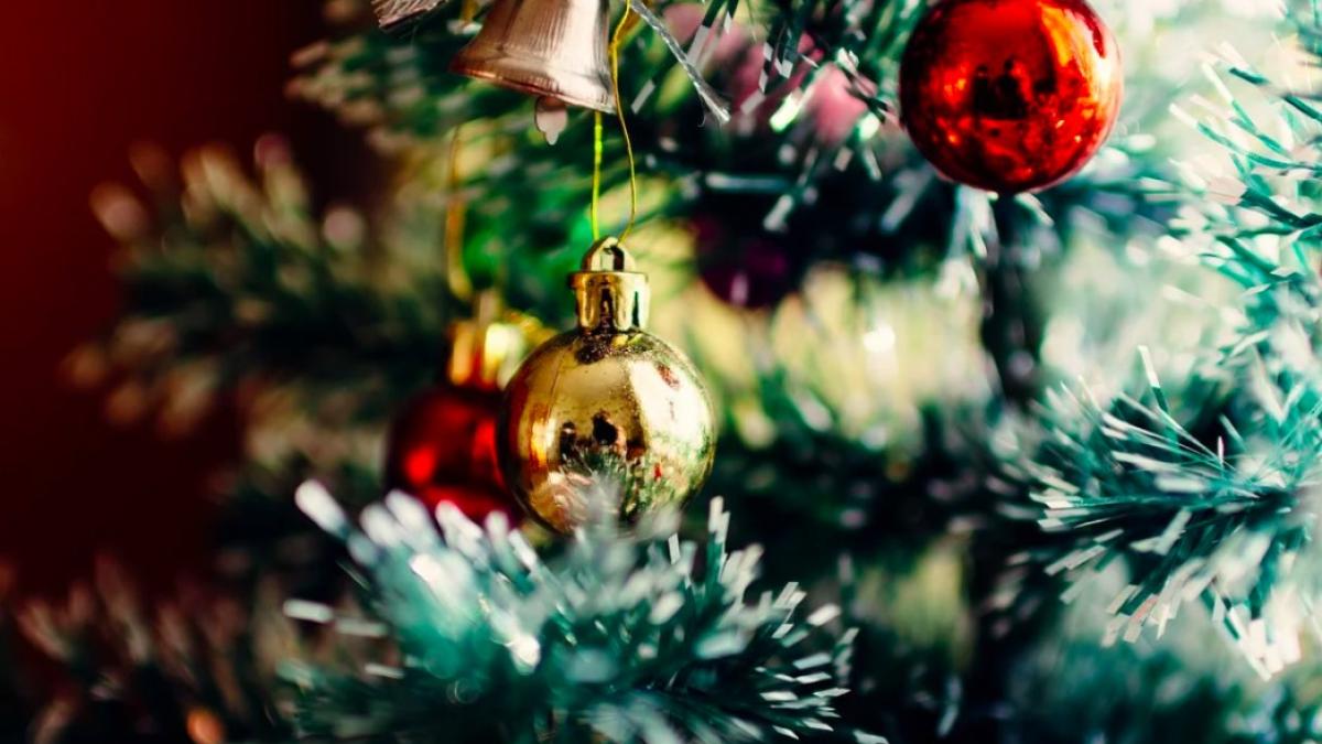 brad_craciun_pxb_68515000