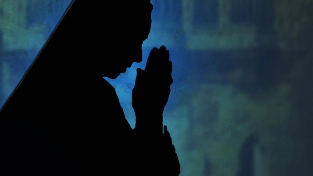 calugarita_pixabay_81197700