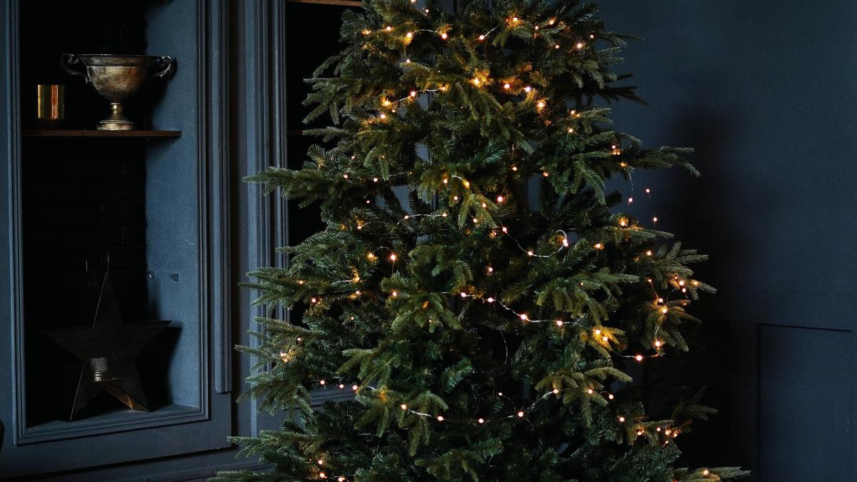 pexels-olenka-sergienko-5686476_84518900