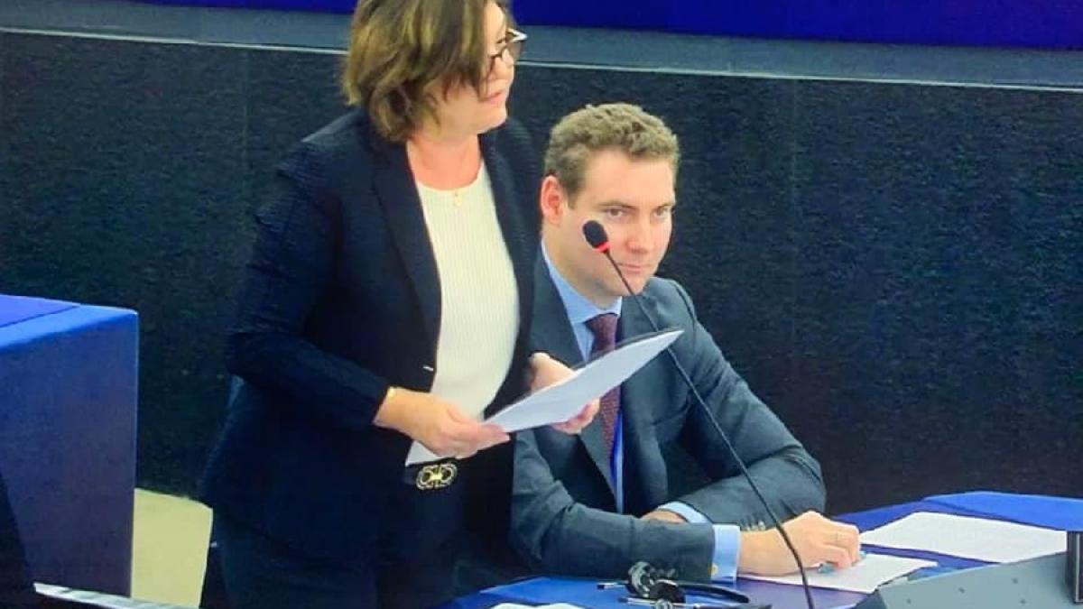 adina_valean_rezolutie_revolutie_pe_fb_21563400