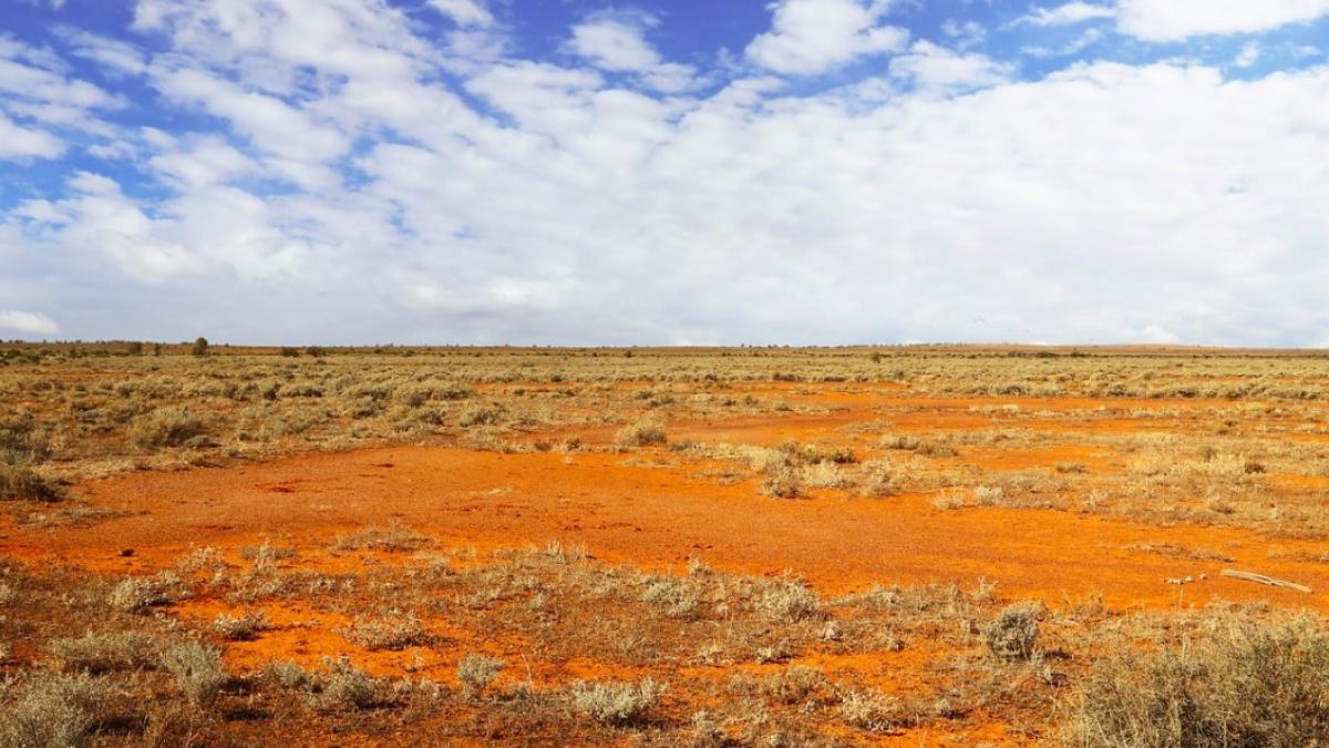 australia_drum_ilustrativ_pxb_74347100