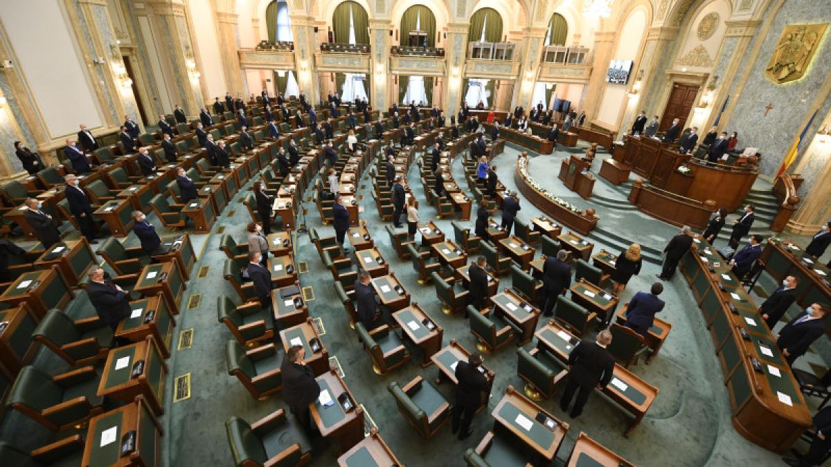 senat_decembrie_2020-2_57821400