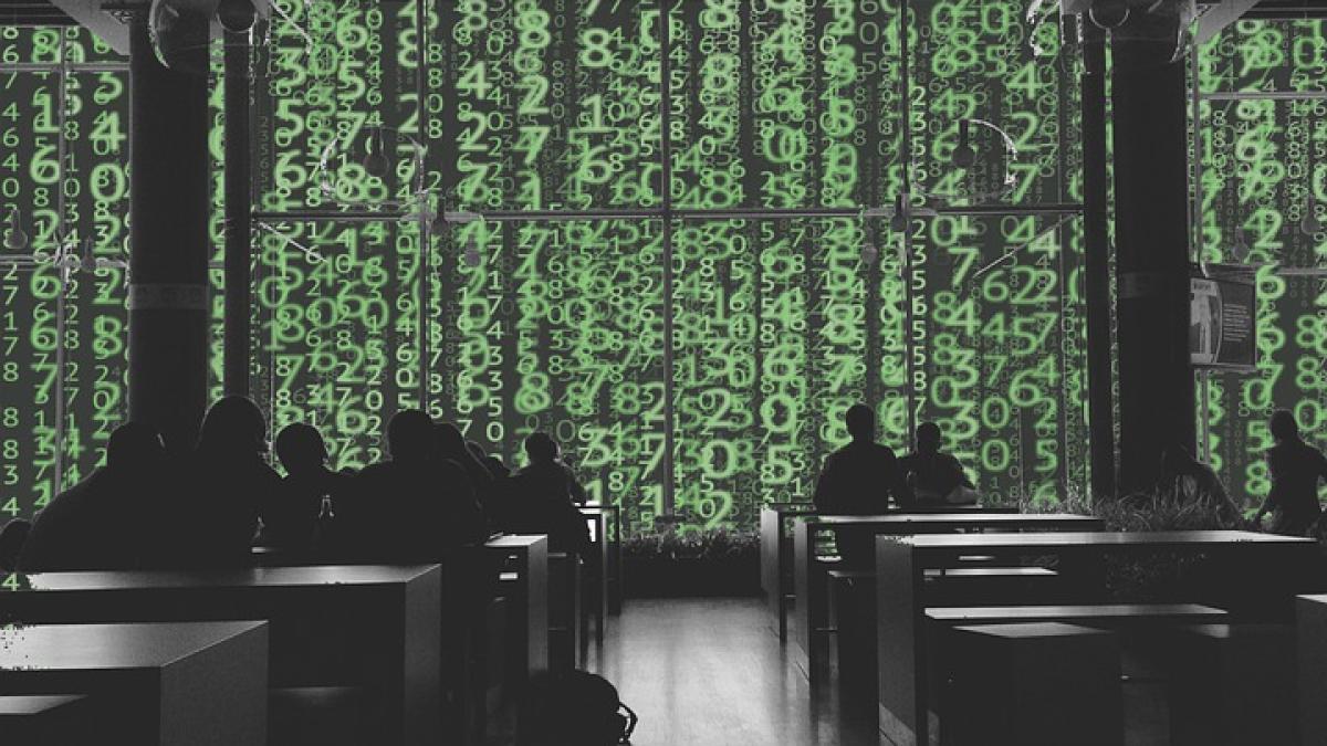 scoala-hackeri_71467800