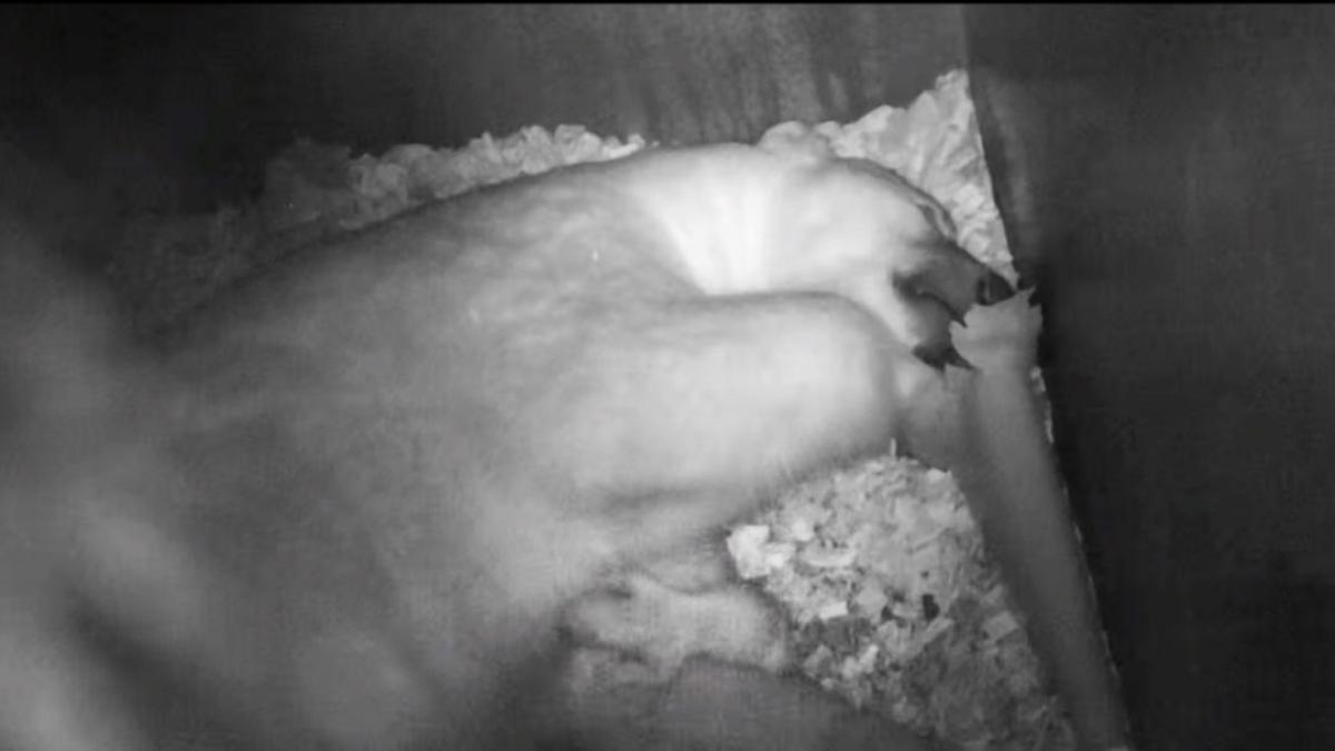 136153157_4902713703134488_3853561268534066055_o_42573500