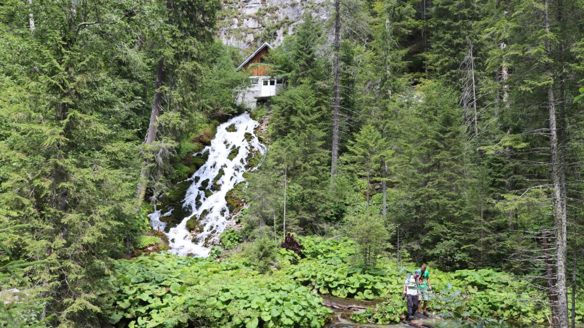 bugegi-sprc-ccprc-a6apte-izvoare1_01135900