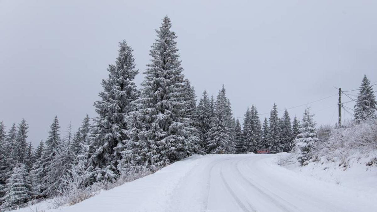 zapada_munte_iarna_sosea_29794300