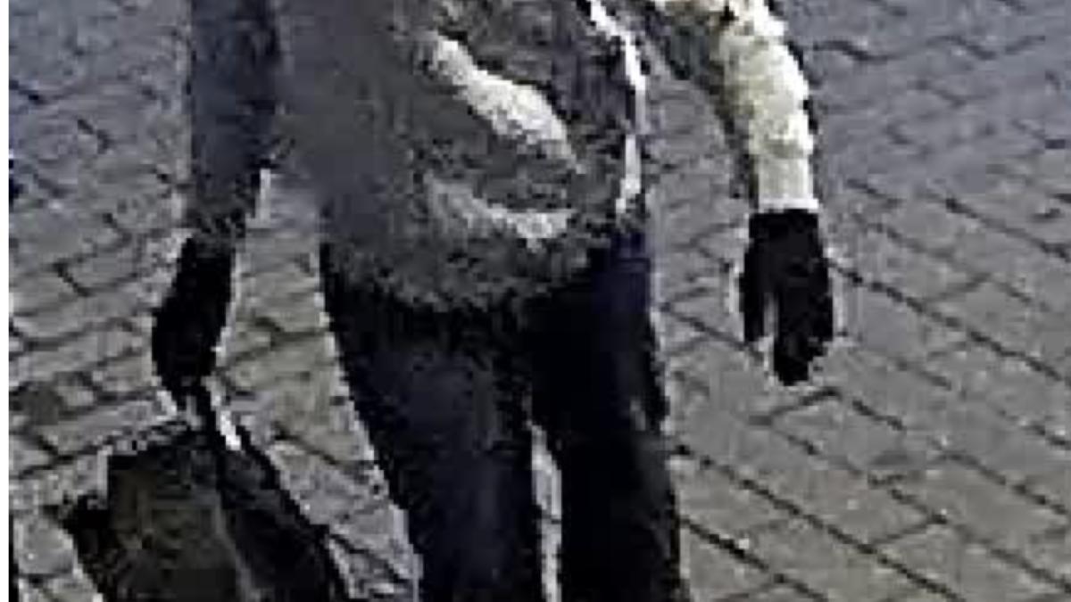 fbi-persoana-suspecta-bombe_64568500