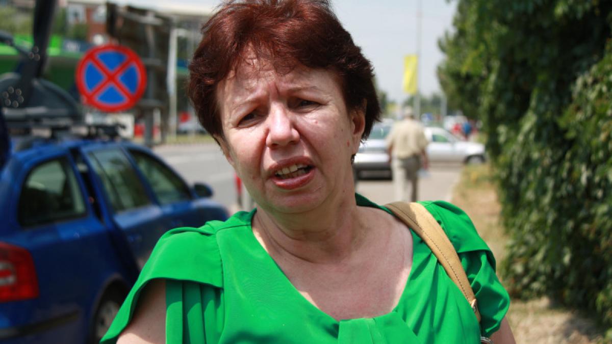 floarea-alesu_24461300