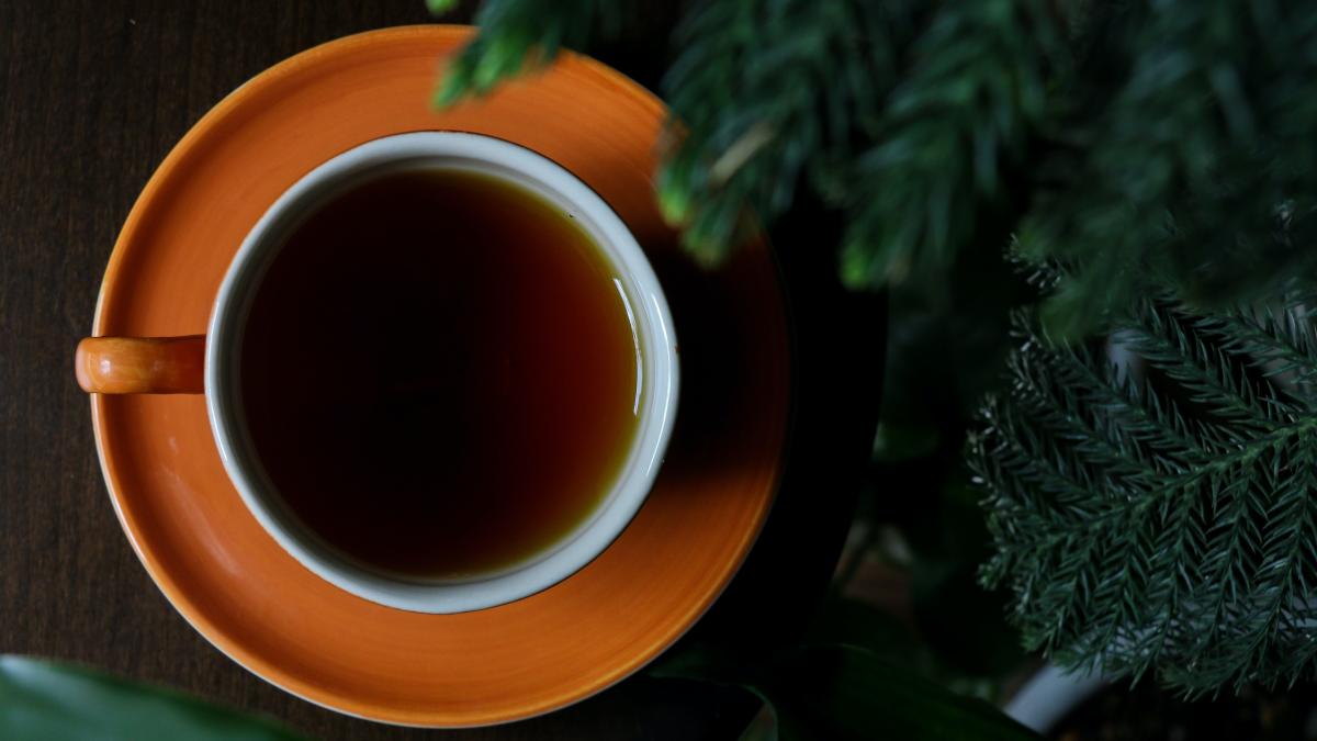 pexels-reyhaneh-ahmadi-4111831_20453900