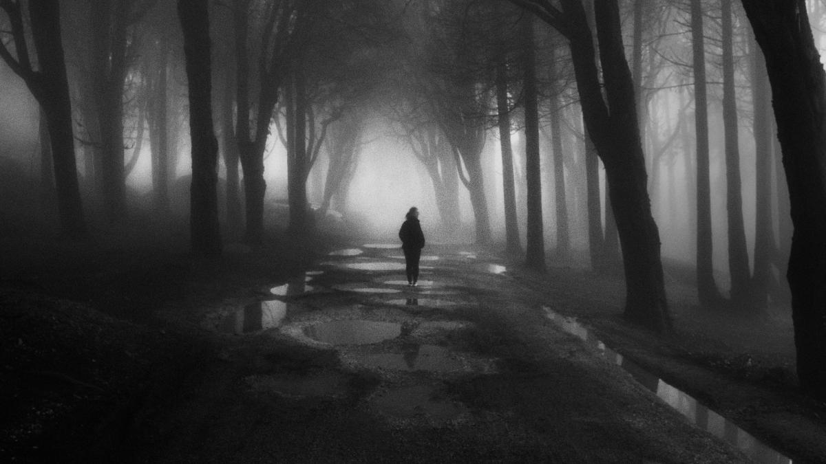 pexels-joao-cabral-3304855_57573300