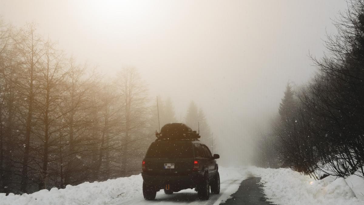 pexels-ekrulila-2418672_44888500