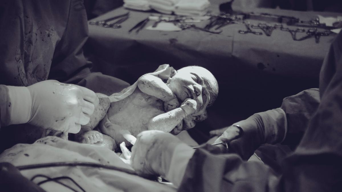 pexels-vidal-balielo-jr-3376793_04295400