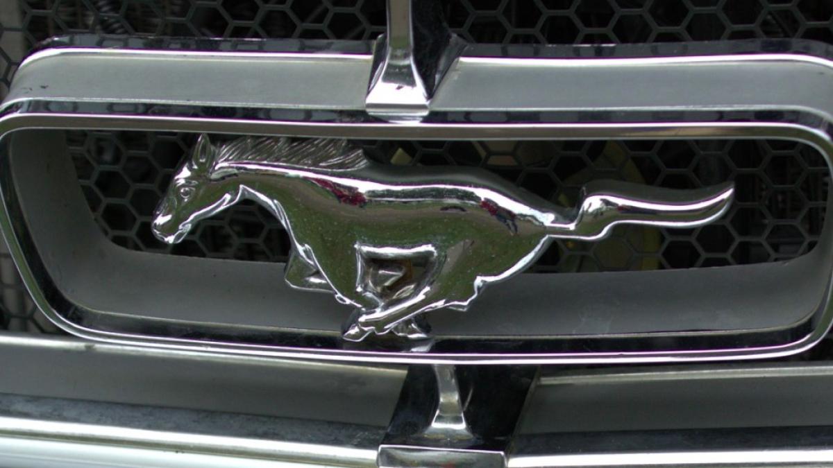 ford_mustang_logo_ilustrativ_03517900