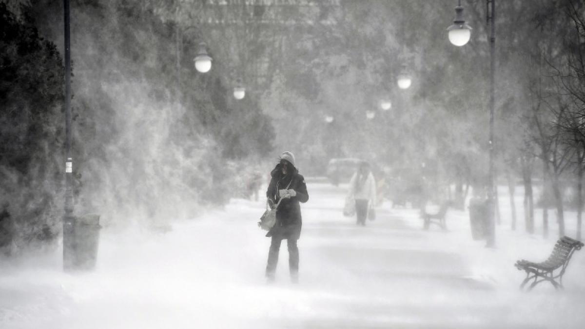 ninsoare-iarna-viscol-furtuna-zapada_86713300