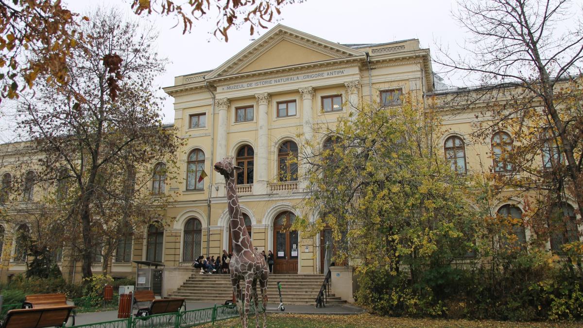 muzeul-antipa_37824400