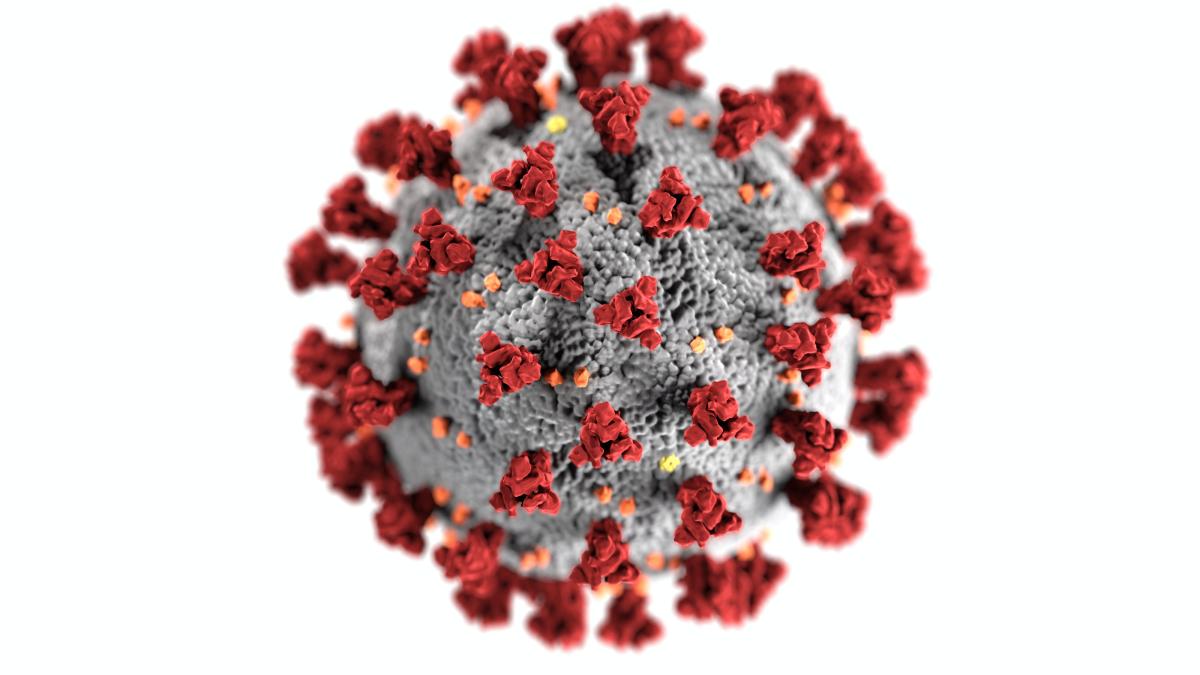 coronavirus-mutatii-kenya_72997900