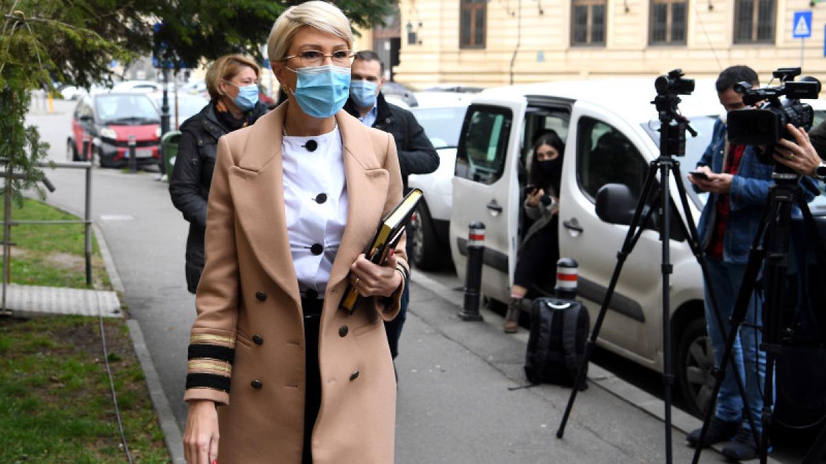 raluca_turcan_pensii_munca_agerpres_43194000