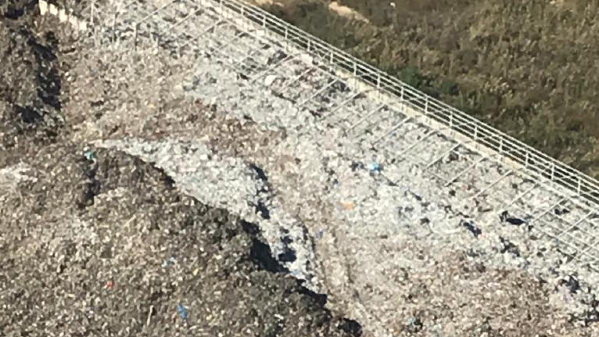 gunoi-ulmeni-nicusor-dan_32783000