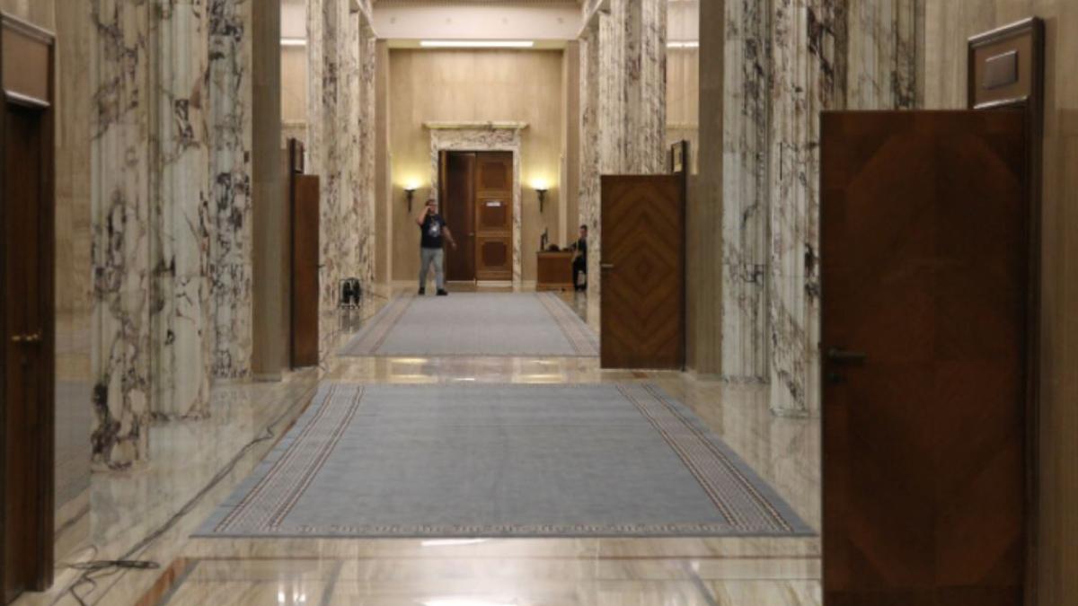 daniel_fenechiu_pnl_orban_foto_crisan_andreescu_12995200