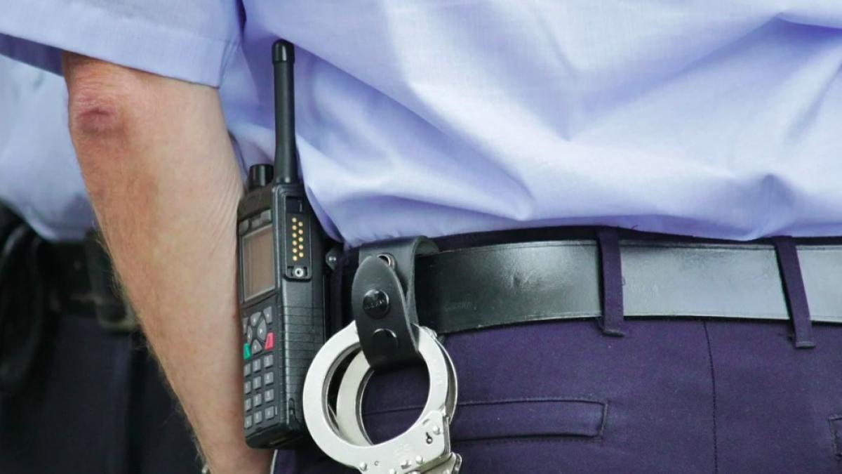 barbat_arestat_pentru_infractiuni_pitesti_67501600