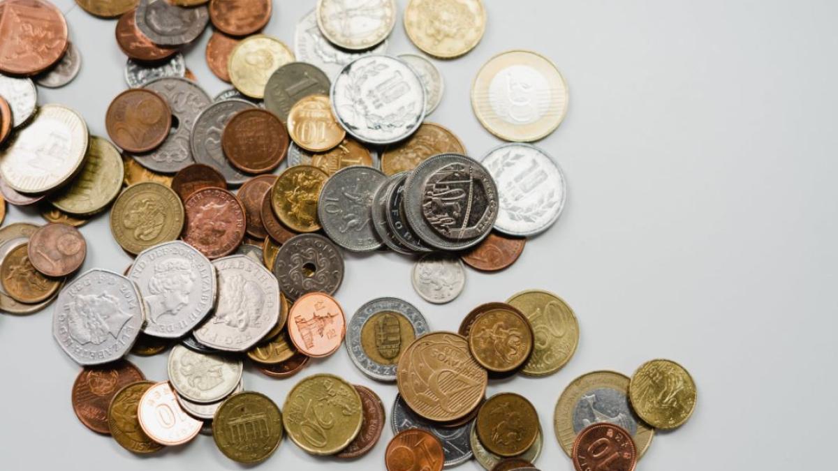 moneda_pesti_delfinariu_foto_pexels_37710700