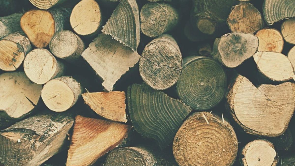 cherestea_vanduta_ilegal_la_negru_63250100