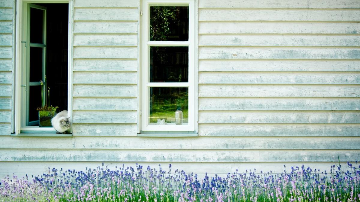 casa_marea_britanie_vanzare_mormant_proprietar_30464100