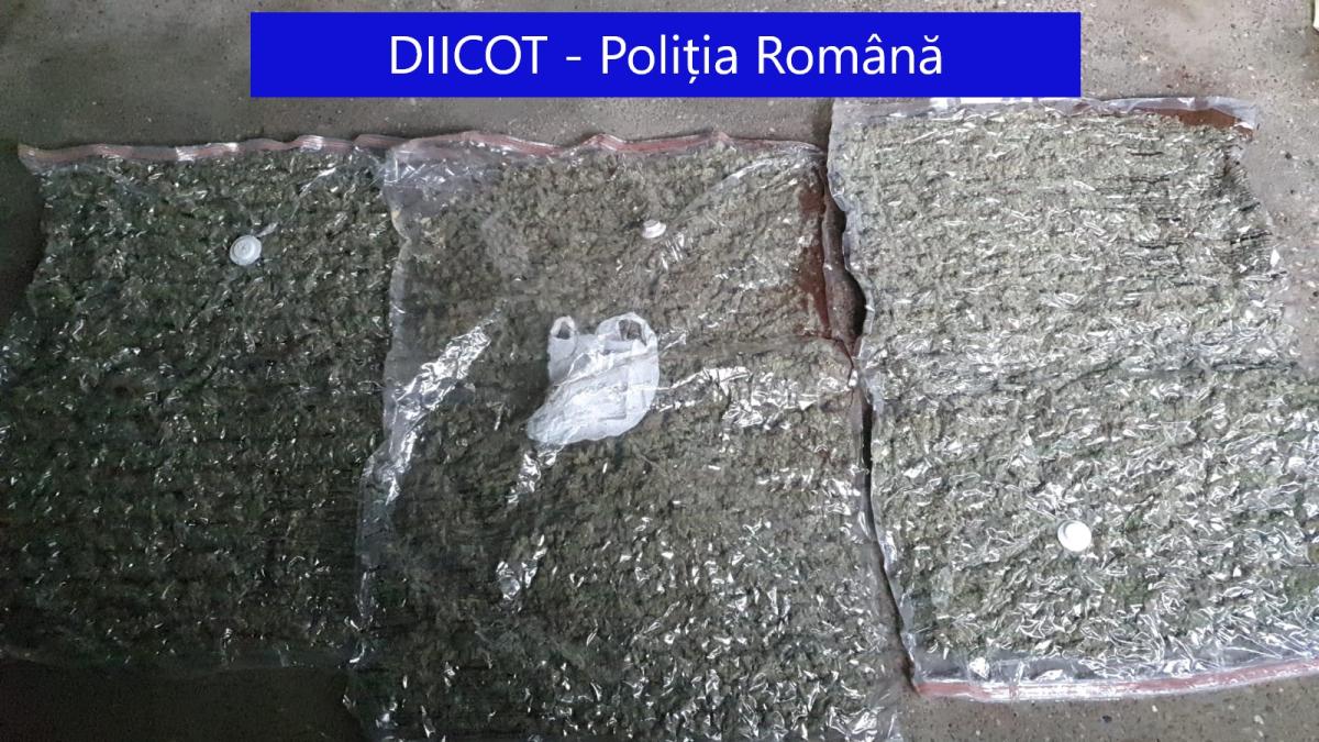 droguri-cannabis_00043700
