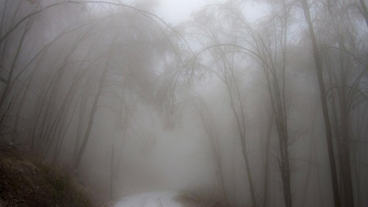 cod-galben-de-vant-si-ceata-in-patru-judete--joi-seara-pana-la-ora-23_76926400