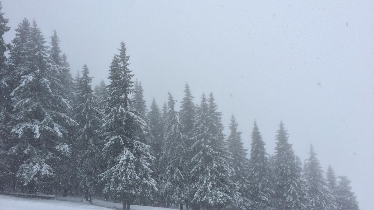 ceata-chiciura-vreme-iarna_29934200