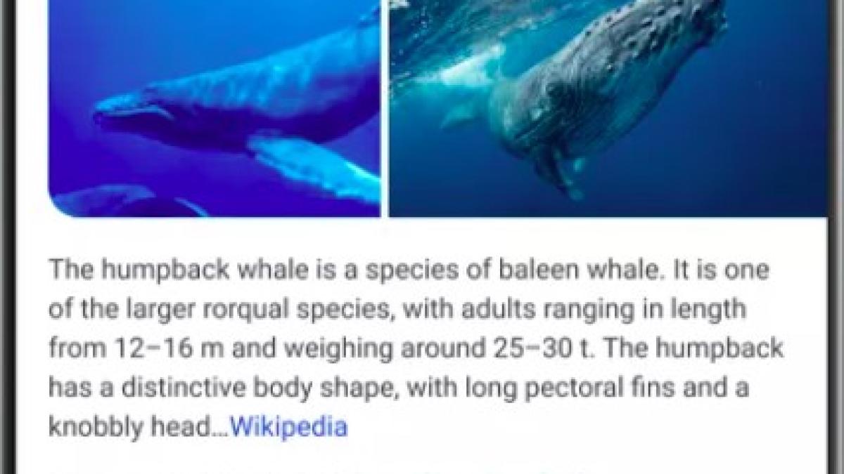 google_search_schimbare_04033400