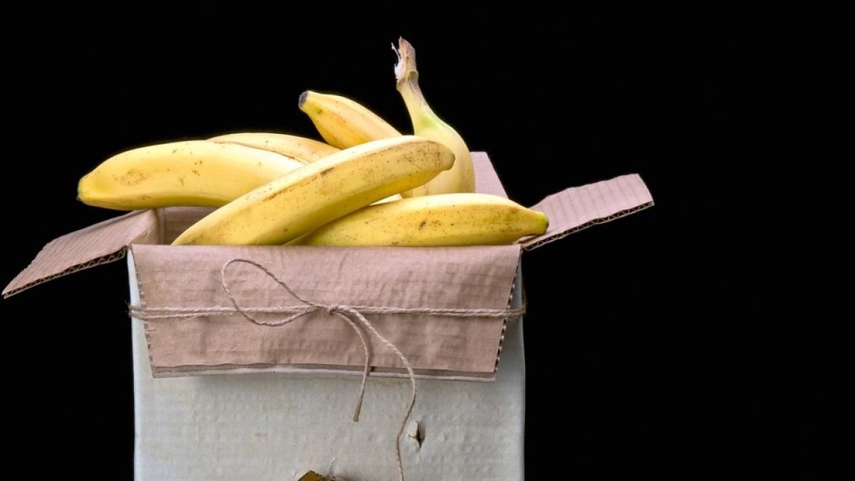 droguri_ascunse_in_cutii_de_banane_86976700