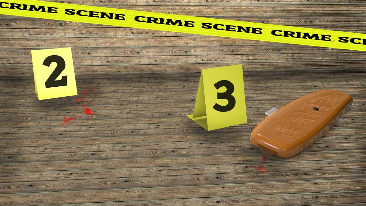 cinci_persoane_impuscate_casa_sua_fbi_ancheta_52579200