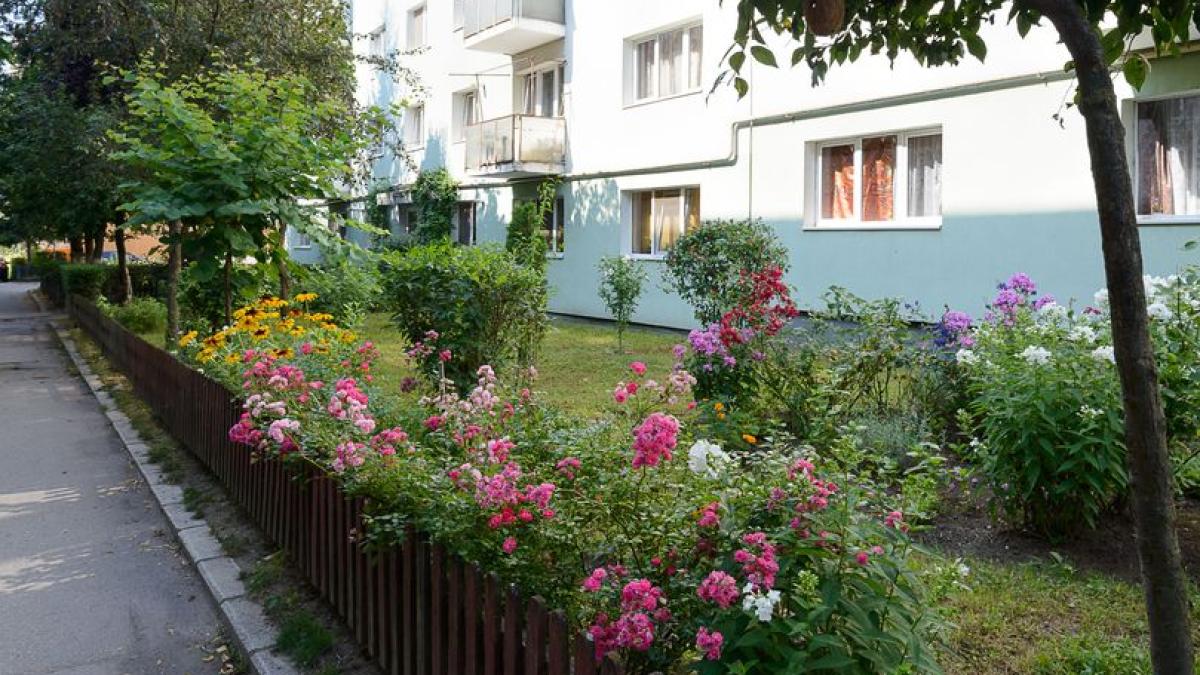 spatii-verzi-bloc-vara_39744000