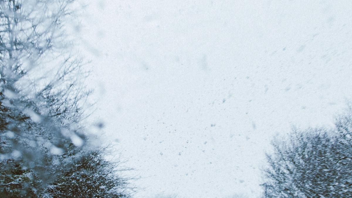 iarna-pexels-lisa-fotios-1855221_46920900