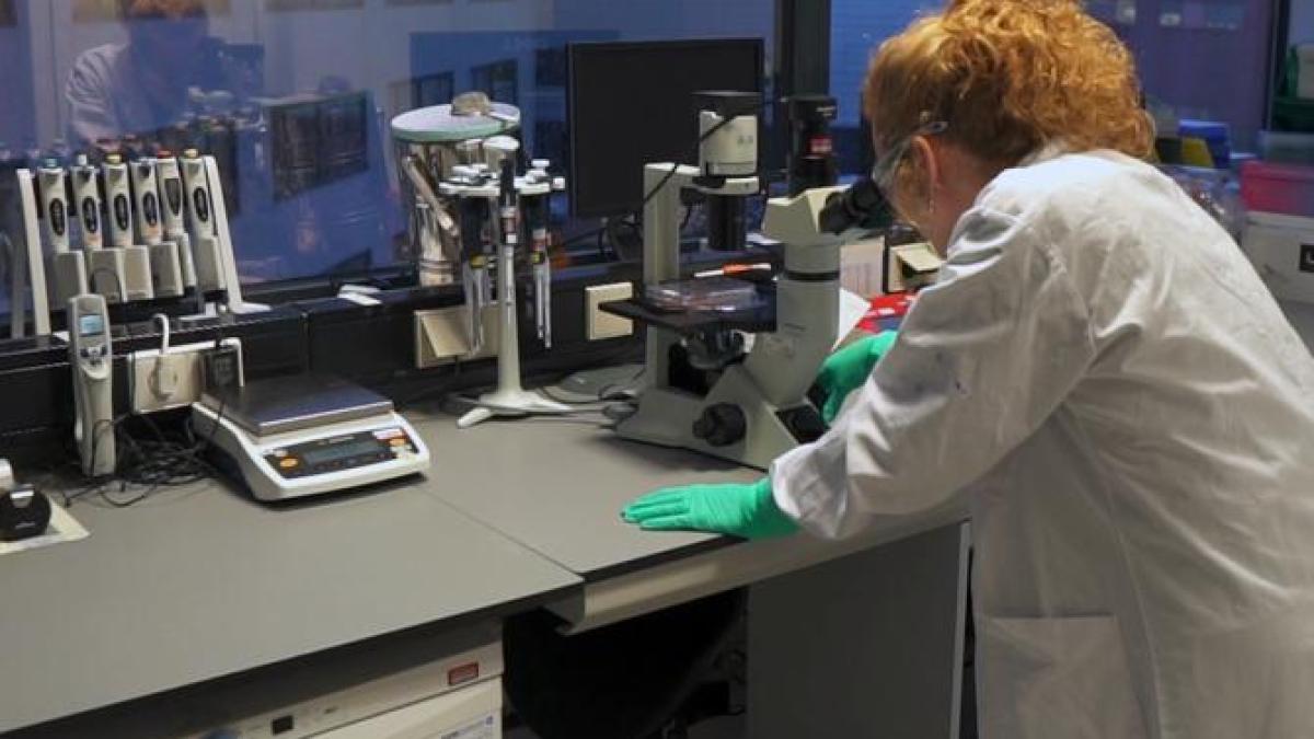 cercetatori-laborator-johnson---johnson_35207200