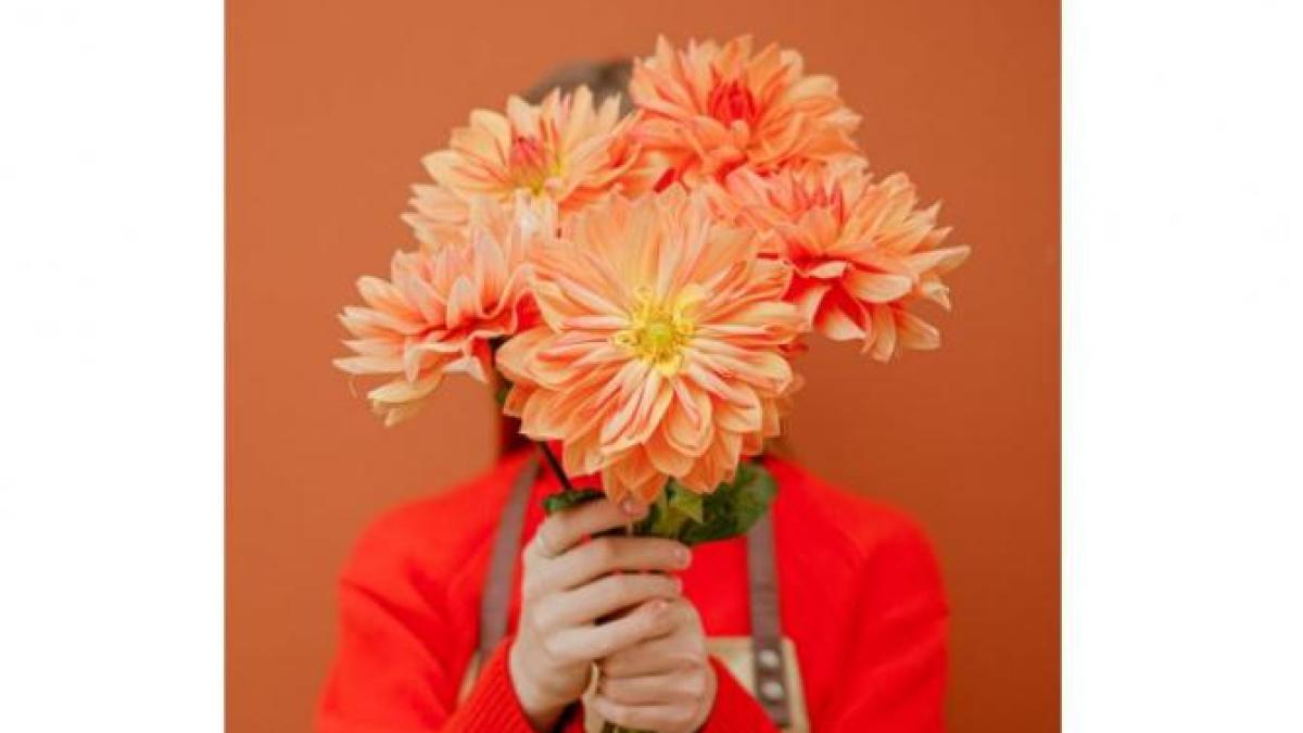 horoscop_zodii_astrolog_foto_pexels_45809300