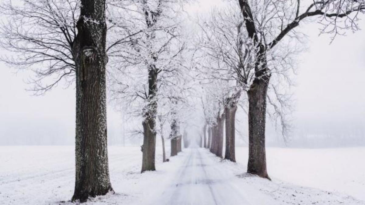 zapada_vreme_cod_galben_foto_pexels_31271200