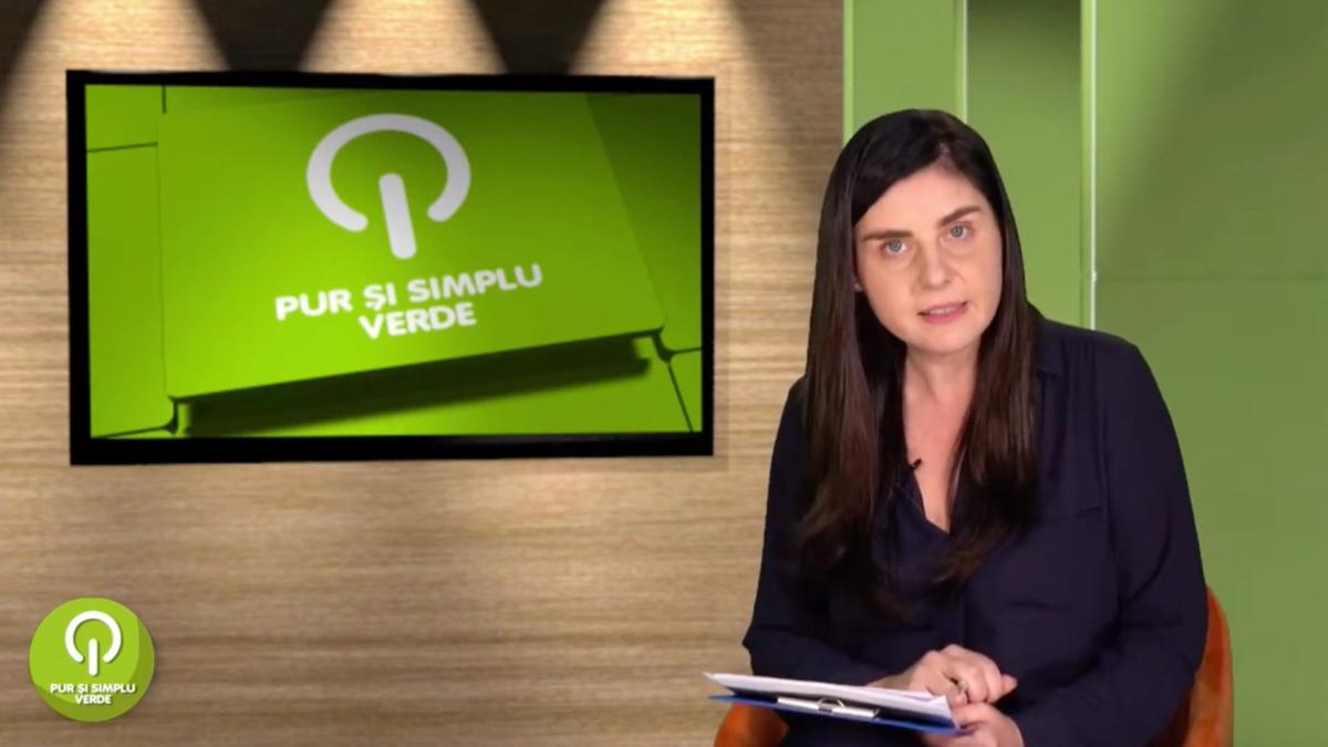 ioana-petrescu_80983200