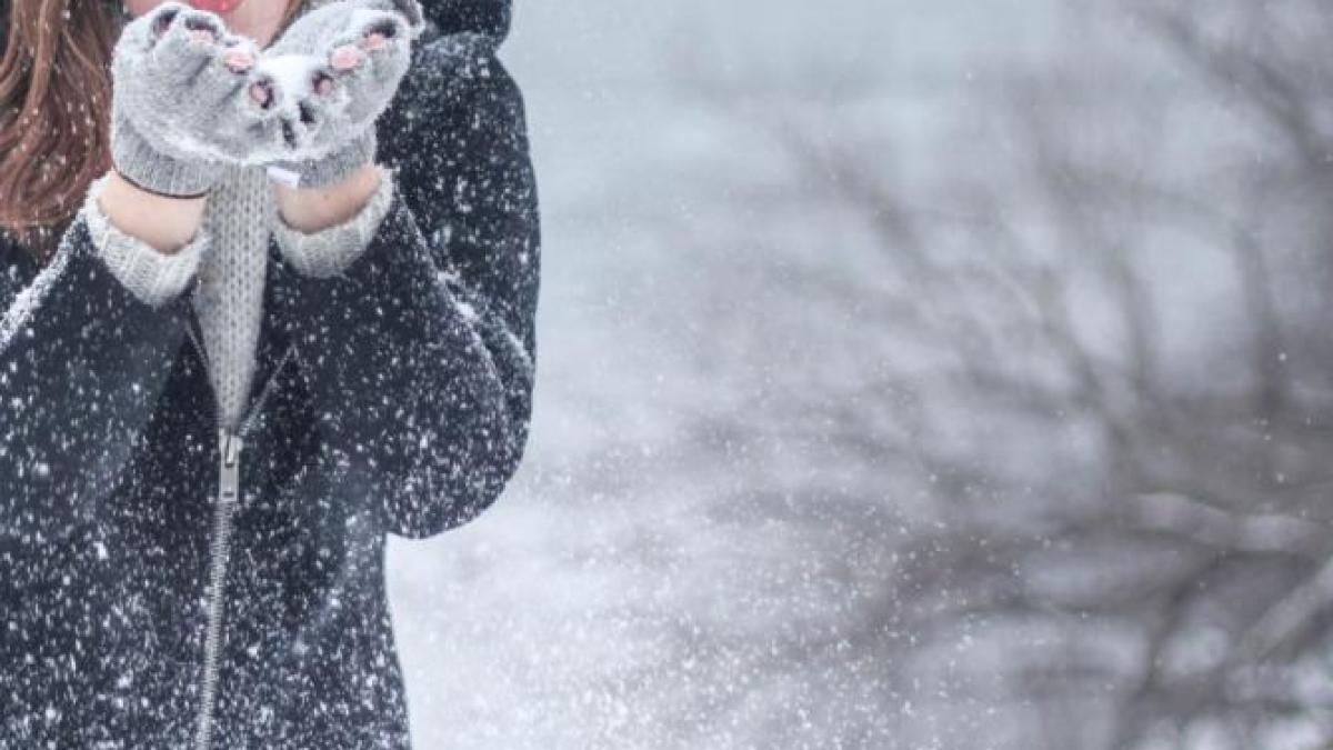 zapada_vreme_bucuresti_foto_pexels_33206700