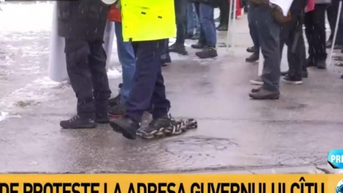 protest_lant_10369600