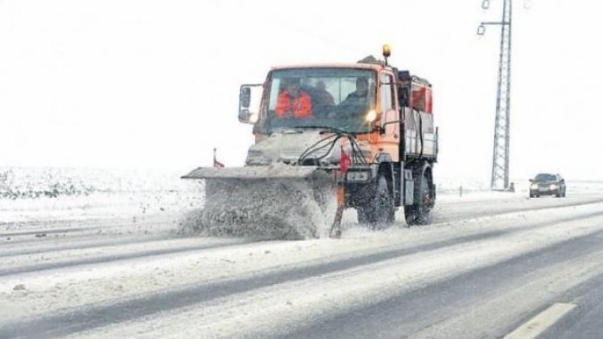 deszapezire_35141900