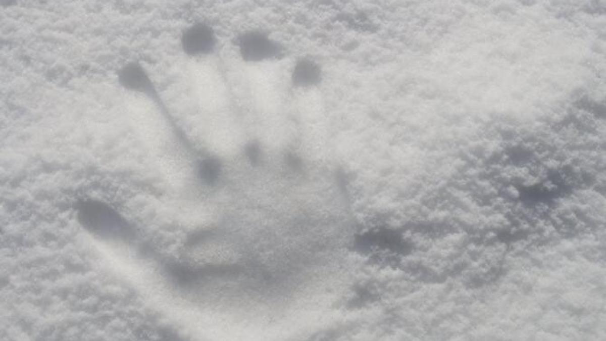 tulcea_zapada_foto_pexels_36676700