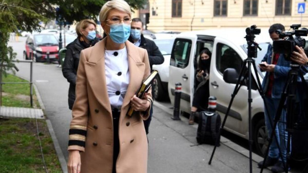 lege-pensii-raluca-turcan-variante-minsiter_06065600