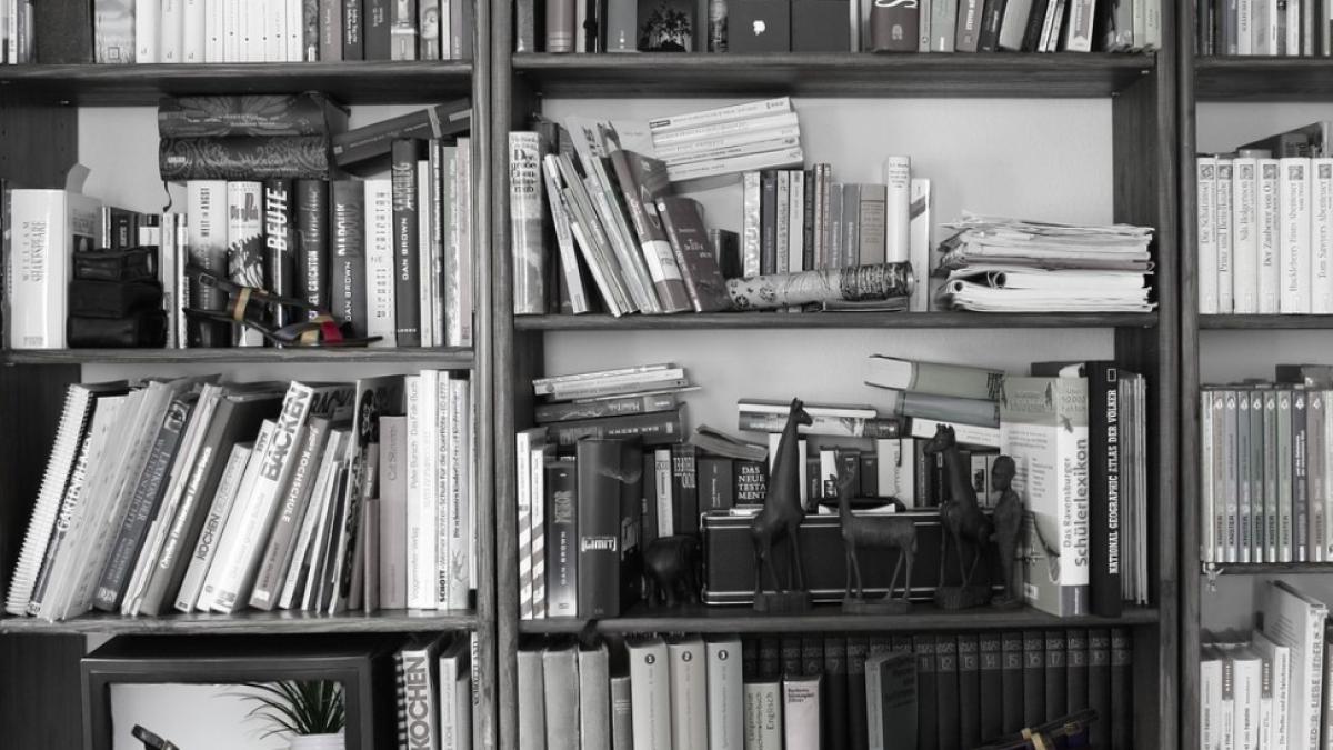 biblioteca_bbc_jucarie_sexuala_yvette_amos_69647500