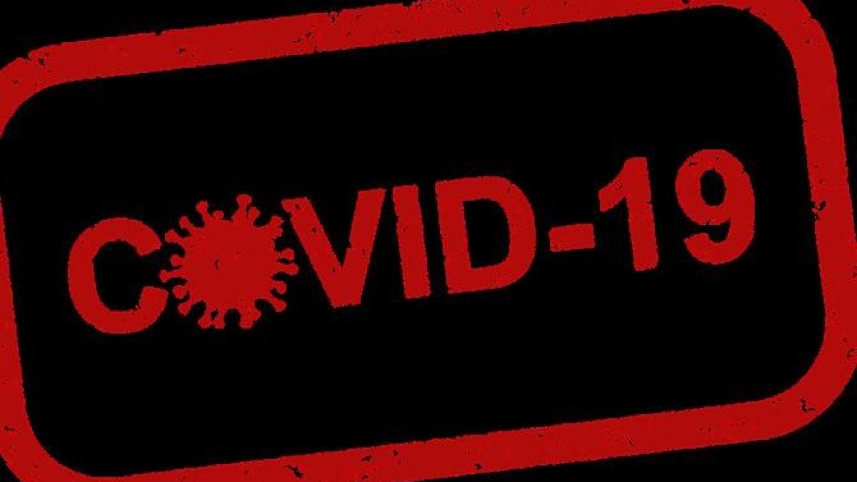 covid_19_tulpina_pixabay_85063400