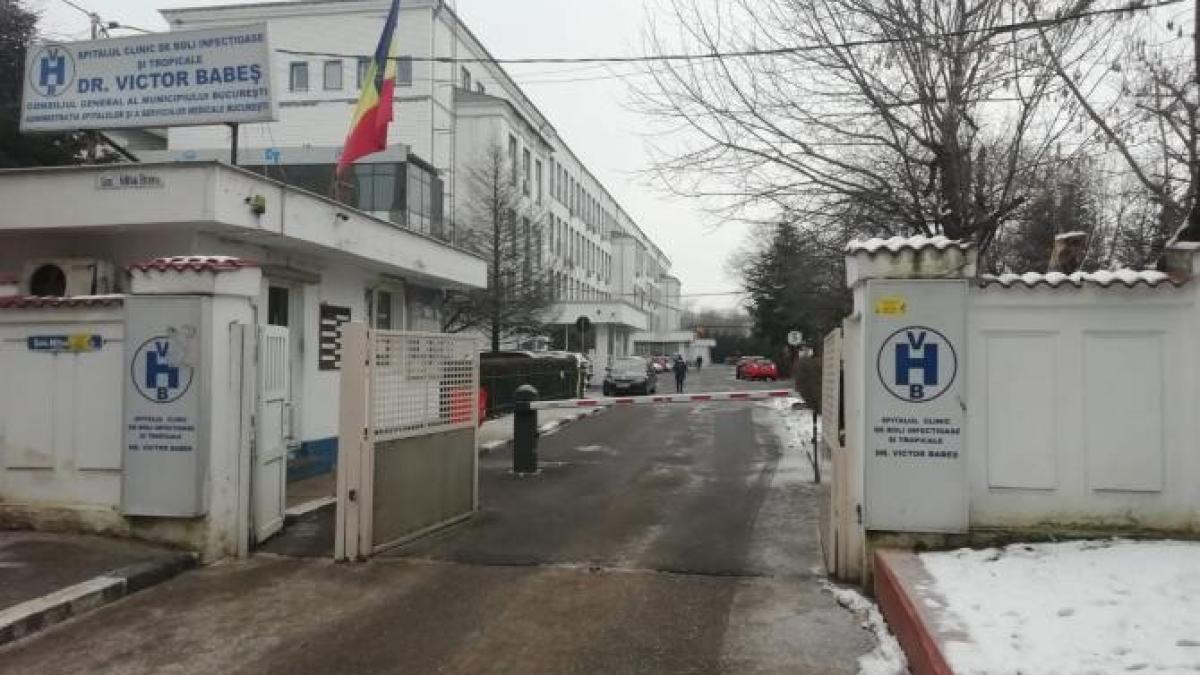 08d2a18a-52e7-462b-9c17-c32e99e0eff8_10283100