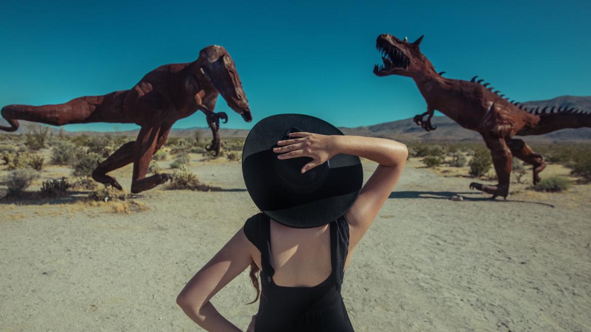 dinozauri-urma-descoperita-de-o-fetita_73679300