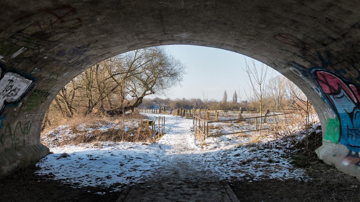 descoperire-macabraprc-ccprc-86-sub-un-pod-din-hunedoara_64756100