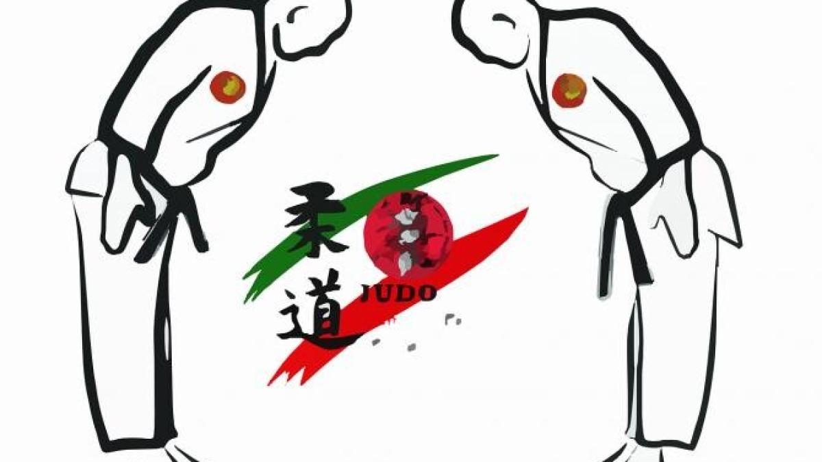 judo_frj_presedintie_pixabay_18357100